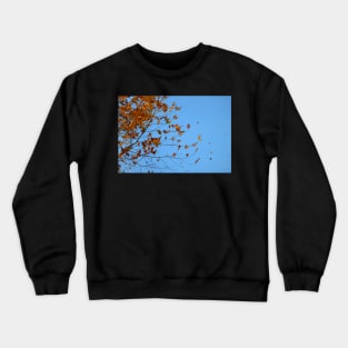 windy day Crewneck Sweatshirt